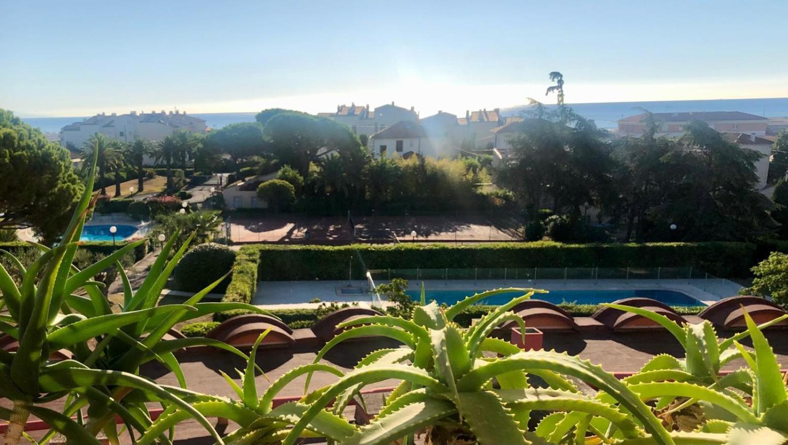 Antibes Secured Parc Velusine With Private Parking, Terrace, Pools And Tennis Courts. ภายนอก รูปภาพ